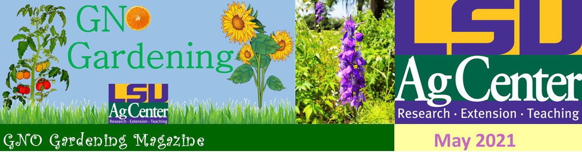 GNO Gardening - May 2021